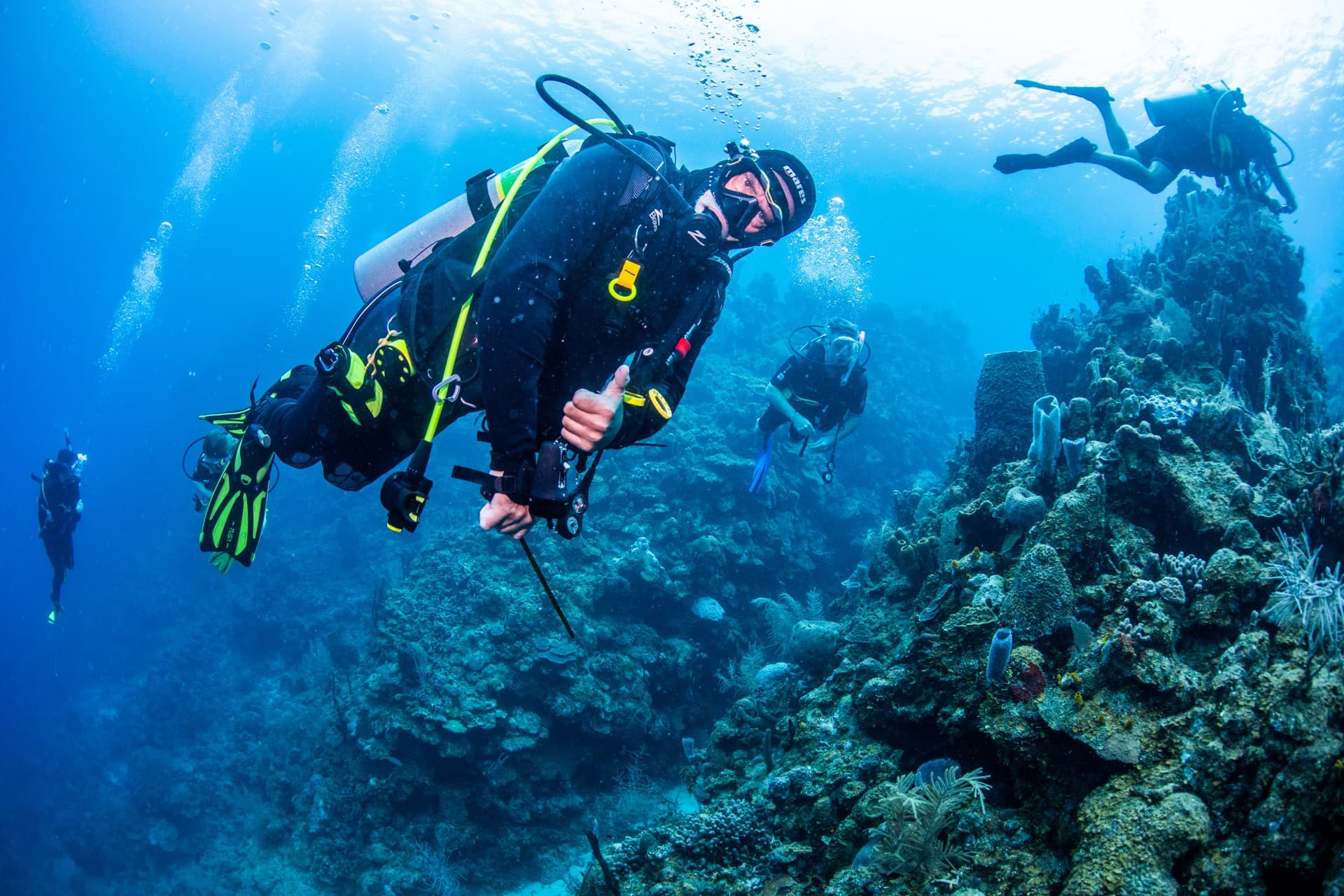 Rebuilding the Website for Roatán's #1 Rated Dive Resort, Trilingual and Measured Line by Line